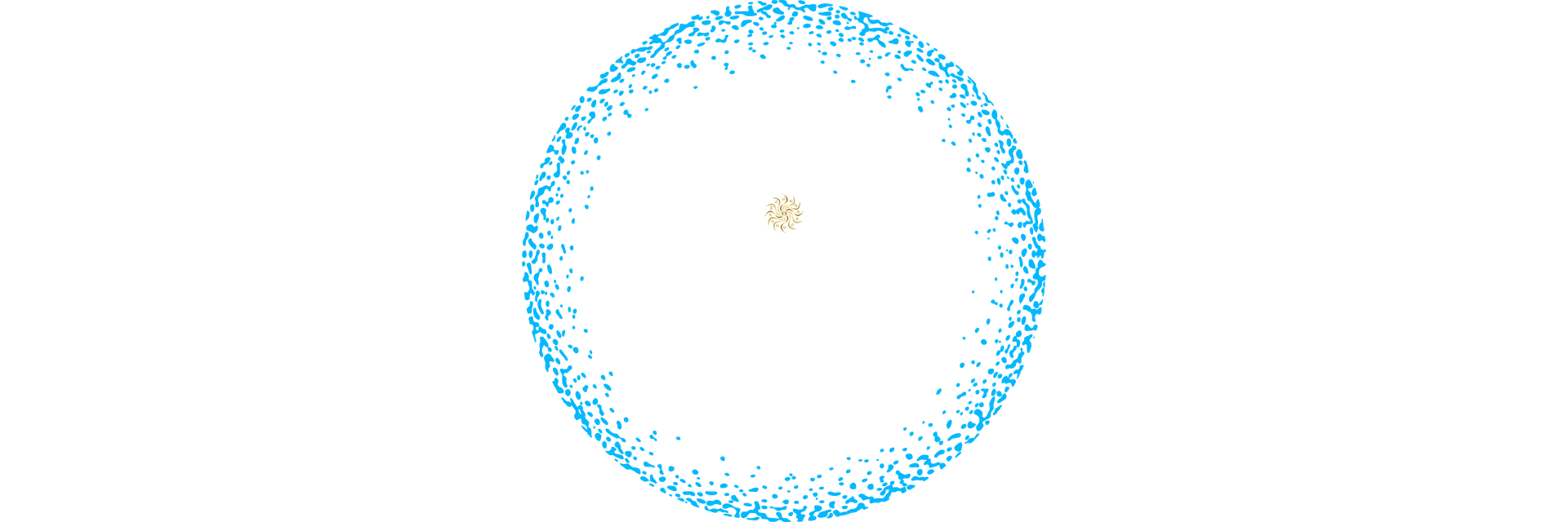 SUSHSWEEJ EXPORT